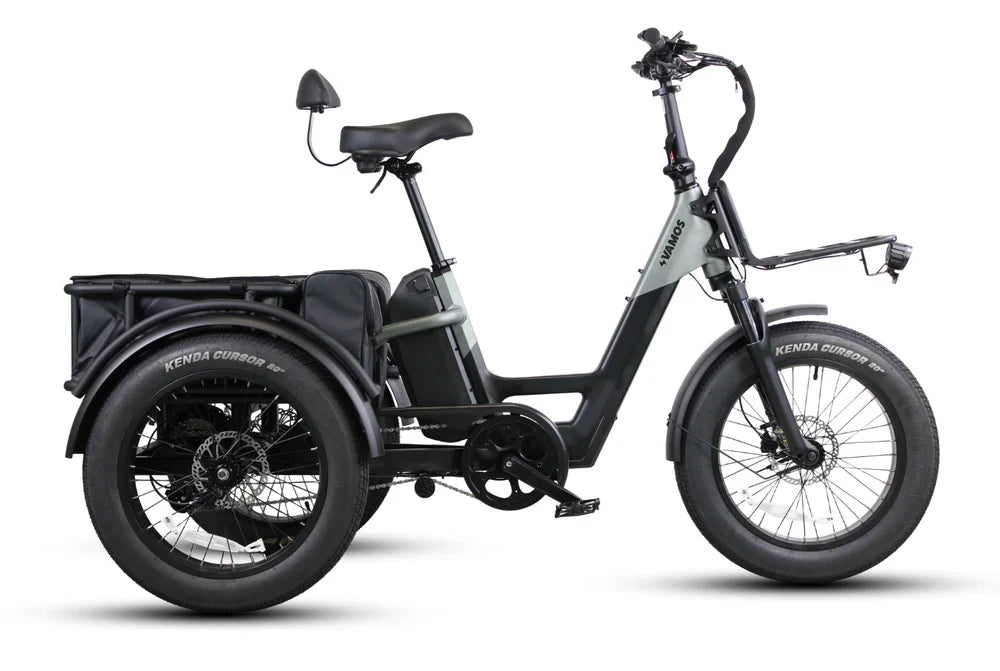 Vamos Papa Grande Pro 2026 electric trike