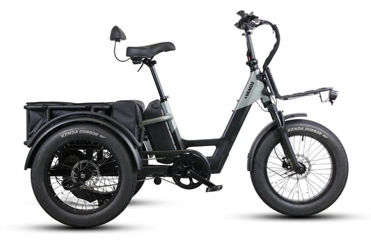 Vamos Papa Grande Pro 2026 electric trike