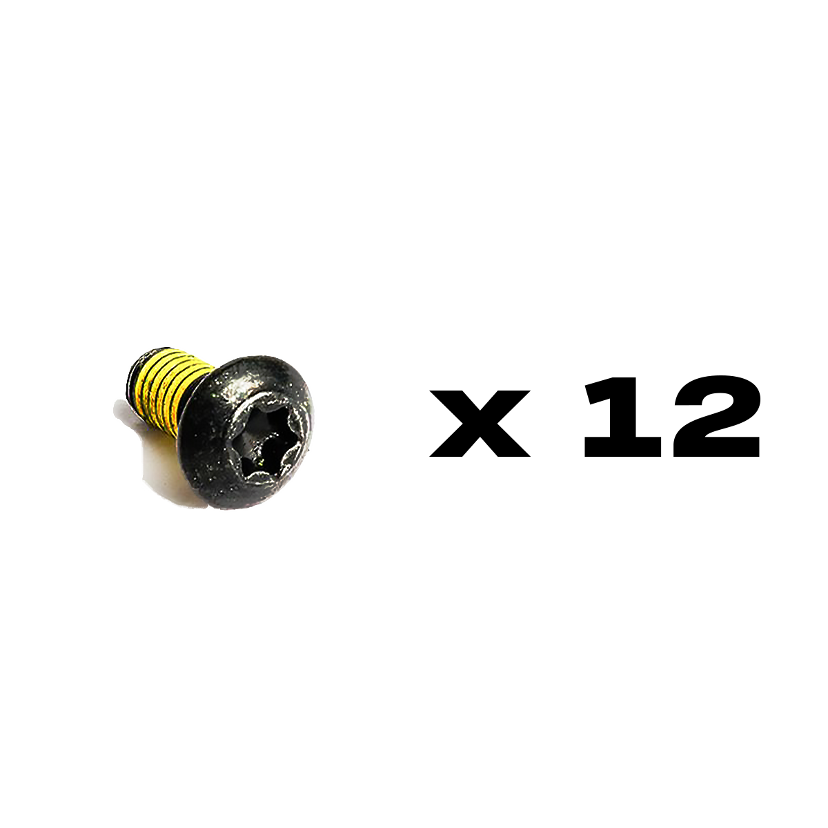 Magura Set of steel fitting screws for 2 x rotors, Torx T25 M5x10 (PU = 12 pieces)