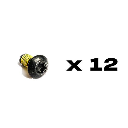 Magura Set of steel fitting screws for 2 x rotors, Torx T25 M5x10 (PU = 12 pieces)