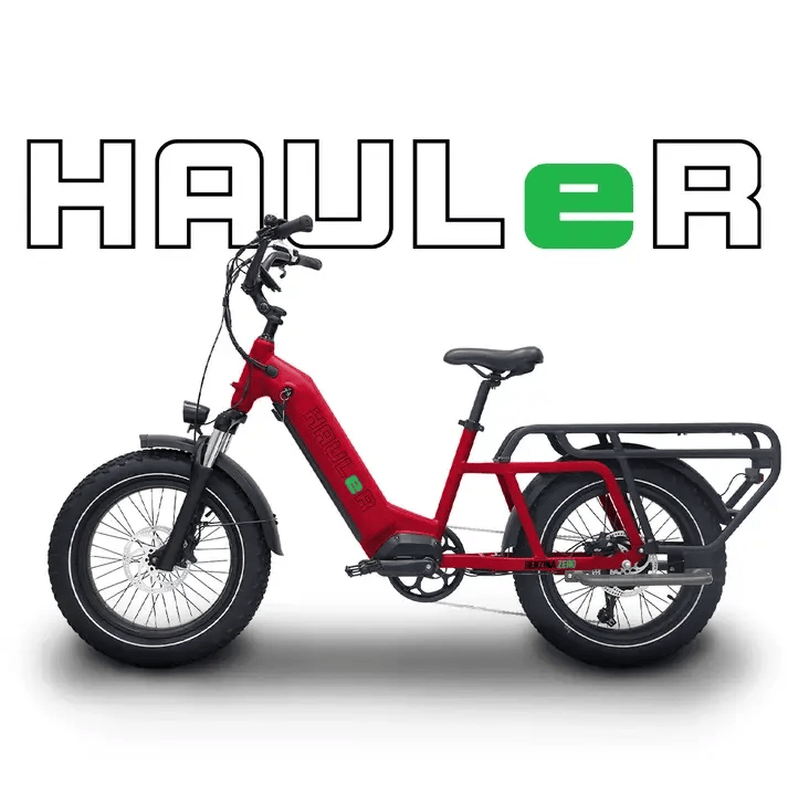 Benzina Zero HAULeR Cargo Electric Bike