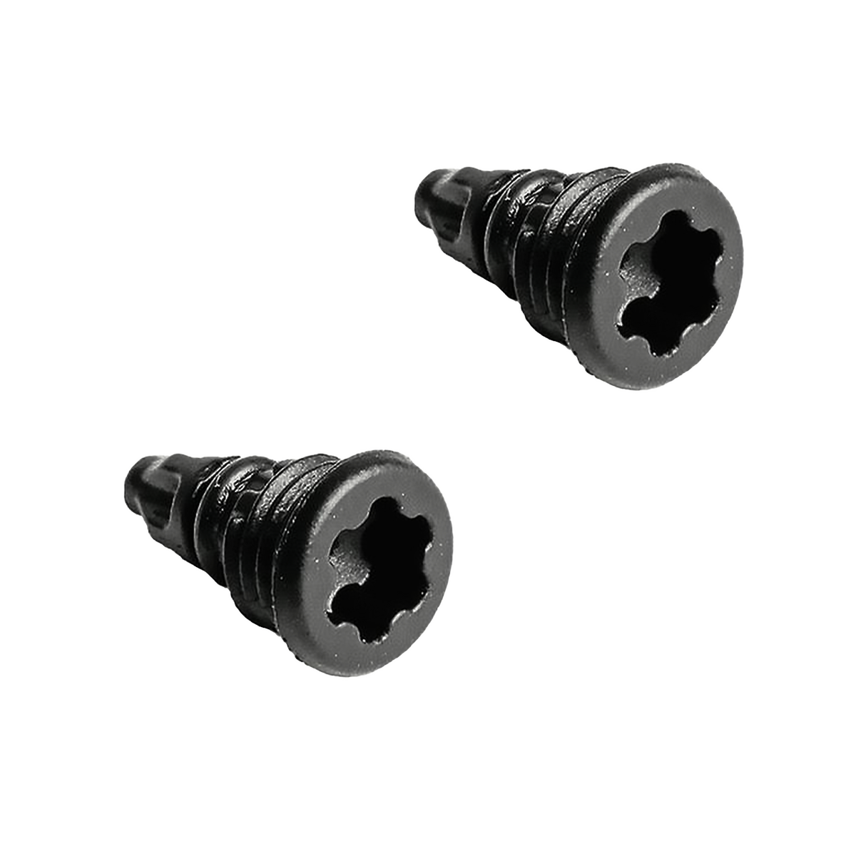 Magura EBT screws complete with O-ring, bleed screw for reservoir, T25 (PU = 2 pieces)