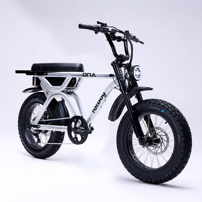 Fatboy DNA V3 Performance e-bike with V3 front suspension in Brushed Alloy