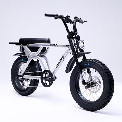 Fatboy DNA V3 Performance e-bike with V2 front suspension in Brushed Alloy