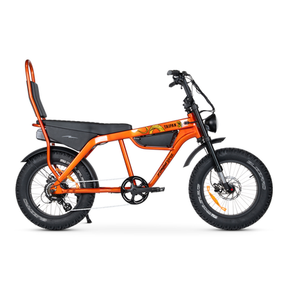 Ampd Bros Taipan electric bike