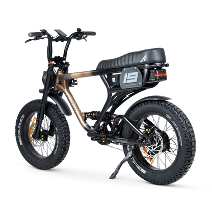 Ampd Bros ACE-X Pro dual suspension e-bike in Bronze Eclipse, rear view