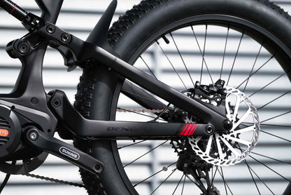 Volition JUMBO full carbon frame