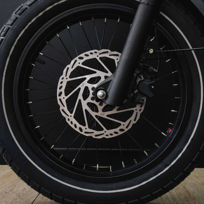 Benzina Zero HAULeR Cargo Electric Bike – view 10 | Grace & Pace Electric Bikes