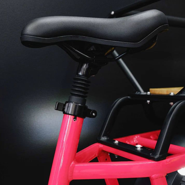 Benzina Zero HAULeR Cargo Electric Bike – view 8 | Grace & Pace Electric Bikes
