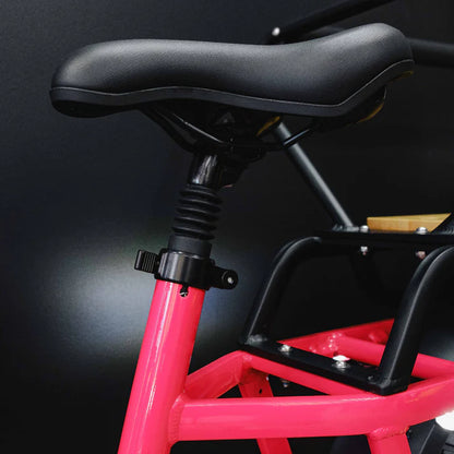 Benzina Zero HAULeR Cargo Electric Bike – view 8 | Grace & Pace Electric Bikes