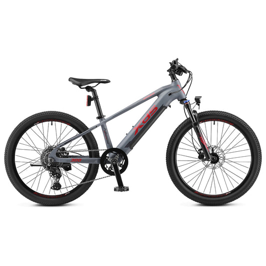 XDS Advance 300 24" Electric Bike Grey side view