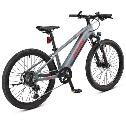 XDS Advance 300 24" Electric Bike Grey detail