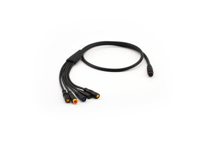 CYC Can Bus Main Wire Harness - Image 2
