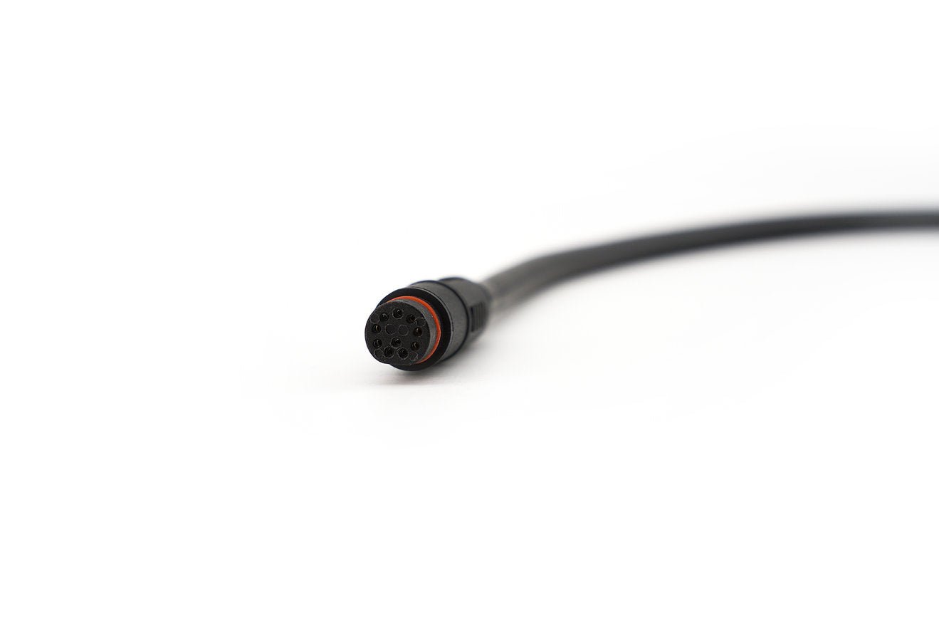CYC Can Bus Main Wire Harness - Image 3