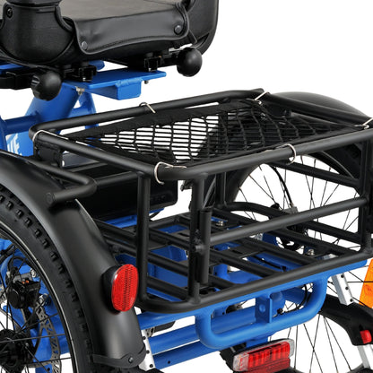 Ridewave Platypus electric trike rear cargo basket close-up