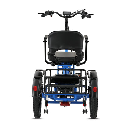 Ridewave Platypus electric trike rear view with cargo basket and tail lights