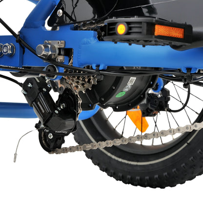 Ridewave Koala electric trike drivetrain close-up with chain, pedal and rear wheel