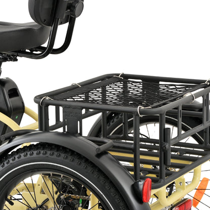 Ridewave Wallaby electric trike rear cargo basket close-up
