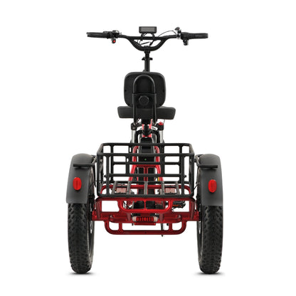 Ridewave Wallaby Plus electric trike rear view with cargo basket and tail lights